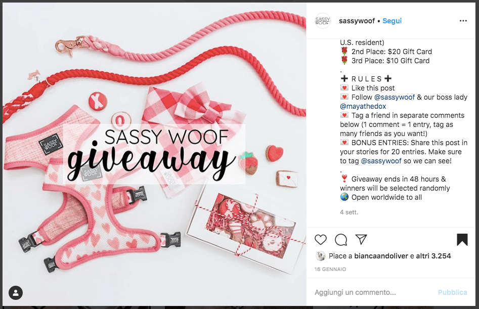 How to Do a Giveaway on Instagram (+ Rules, Ideas and Tips)