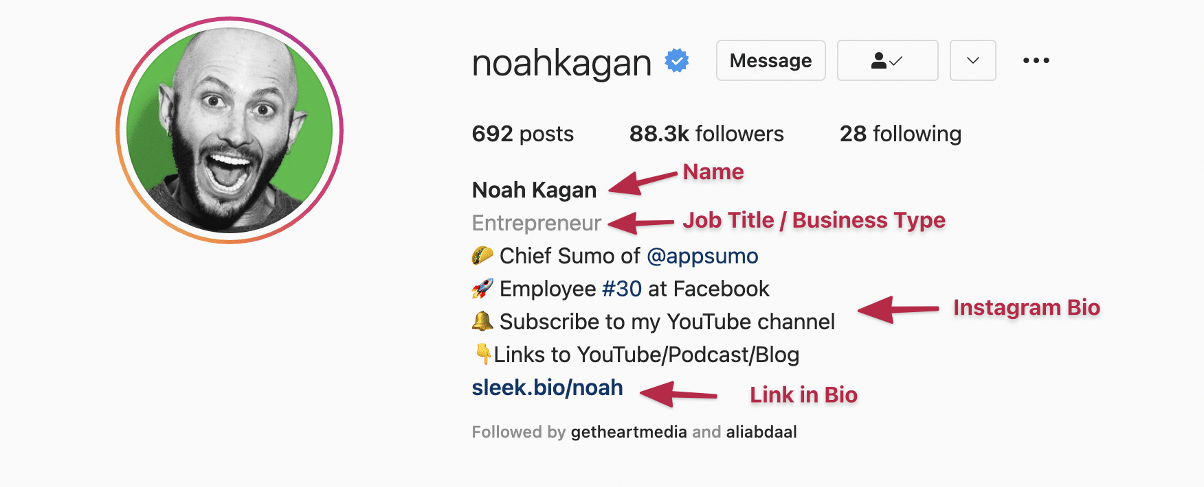 How to Create an Effective Instagram Bio (15 Ideas + Free Templates)