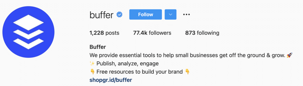 b2b SaaS Startup Instagram Bio Idea