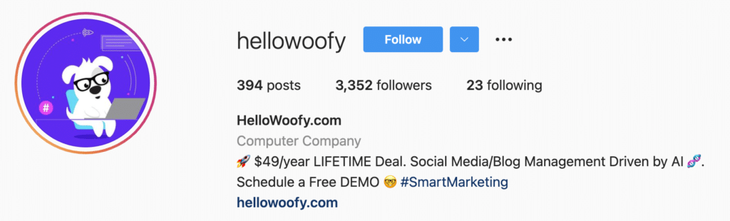 b2b SaaS Startup Instagram Bio Idea