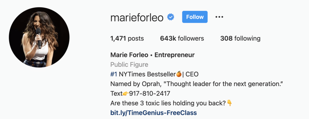 Instagram Bio Examples Entrepreneurs