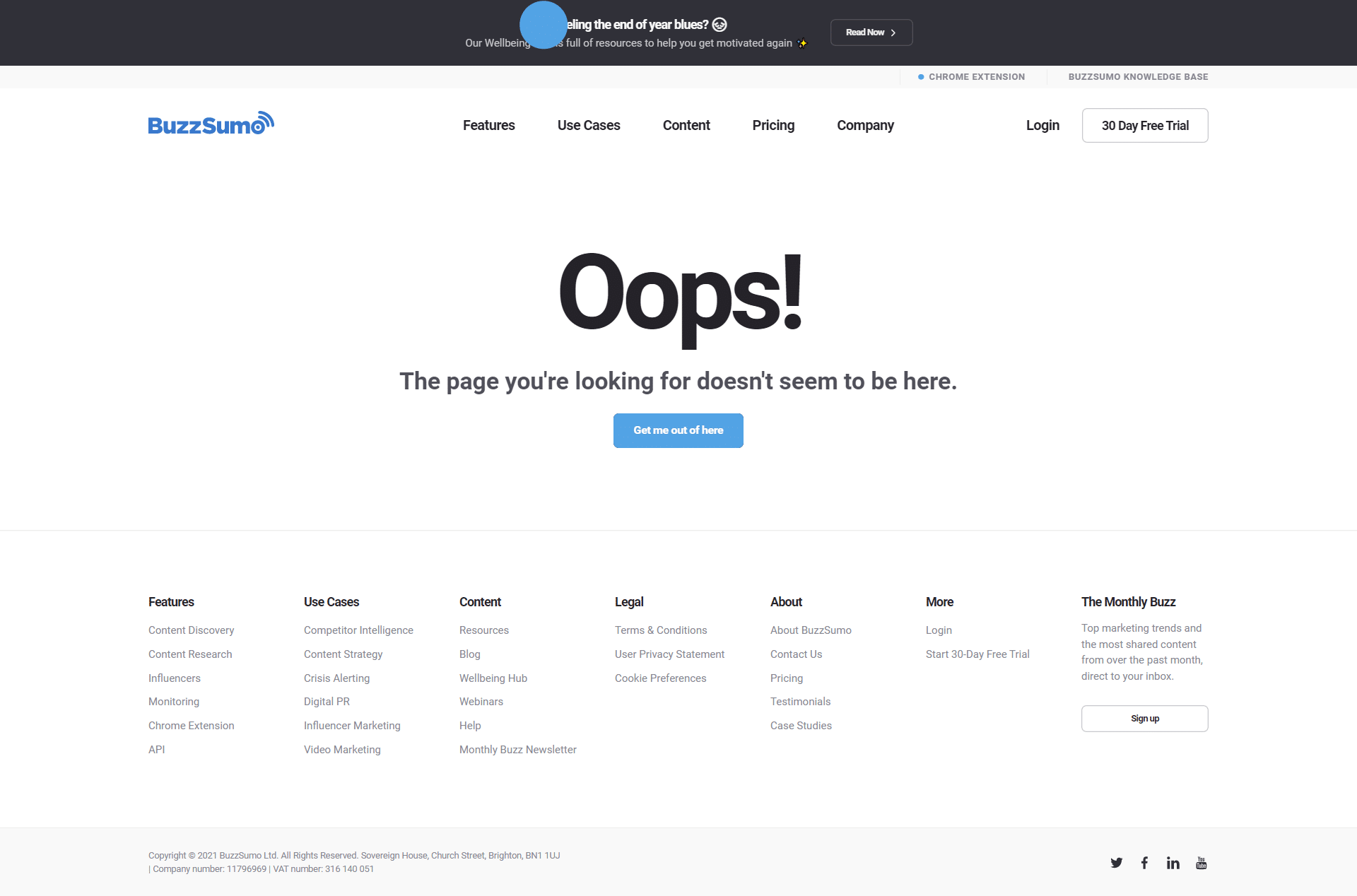 BuzzSumo 404 Page Not Found