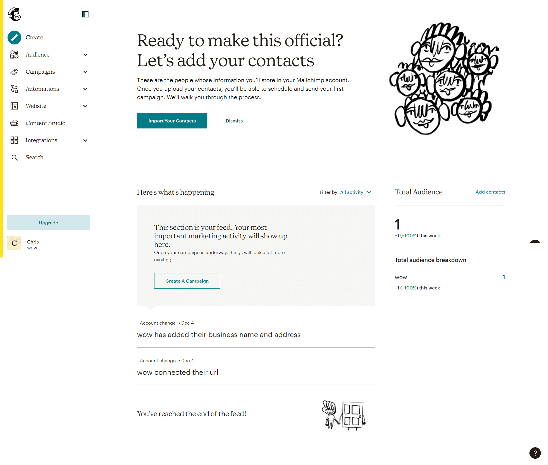 Mailchimp Dashboard Trial