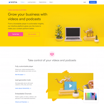 Wistia Features