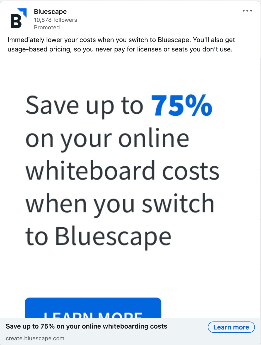 Bluescape LinkedIn Ads 1