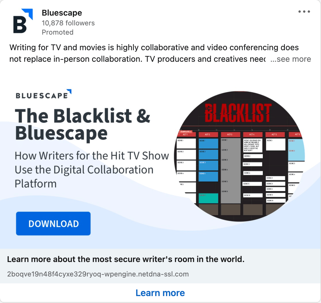 Bluescape LinkedIn Ads 2