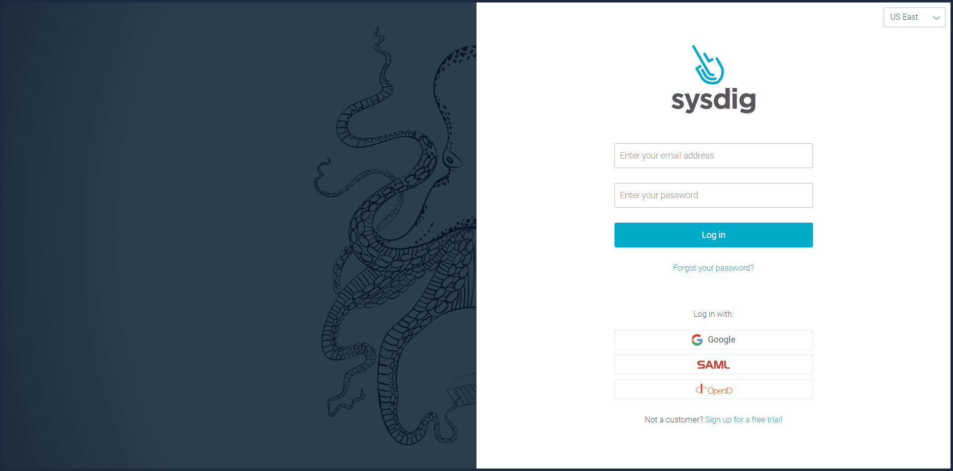 Sysdig Login