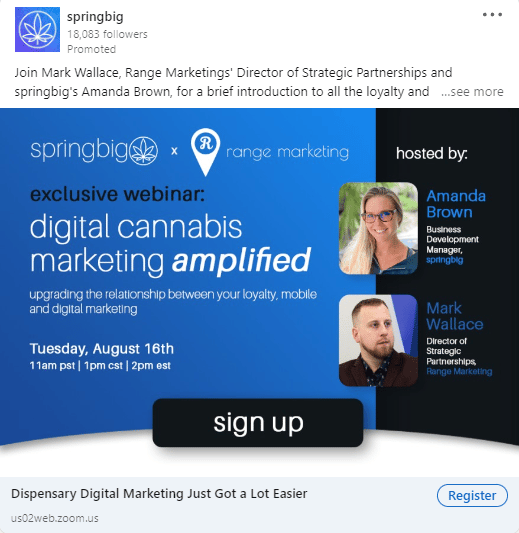 Springbig Linkedin Ads