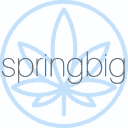 Springbig